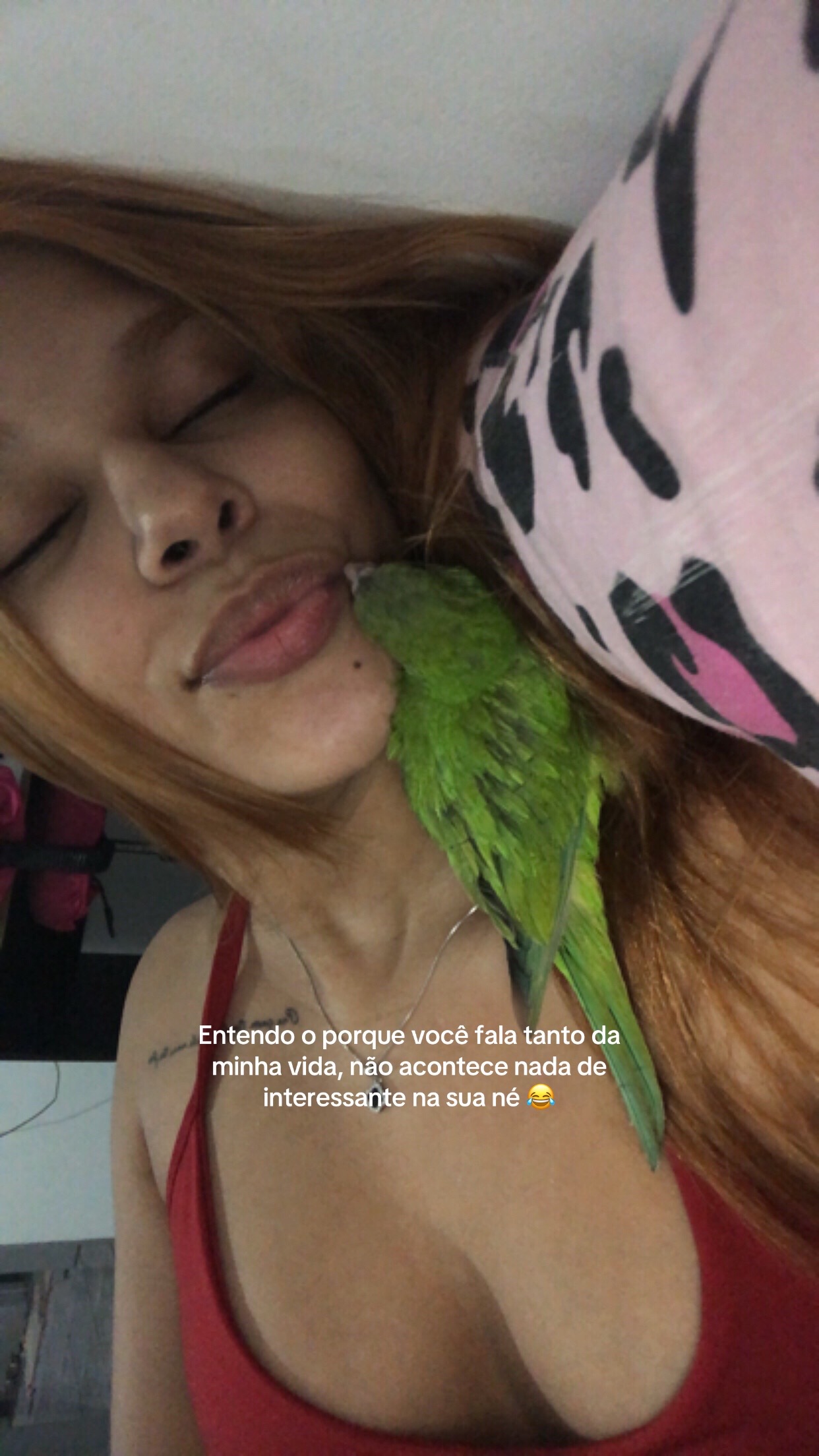 @agtmello_