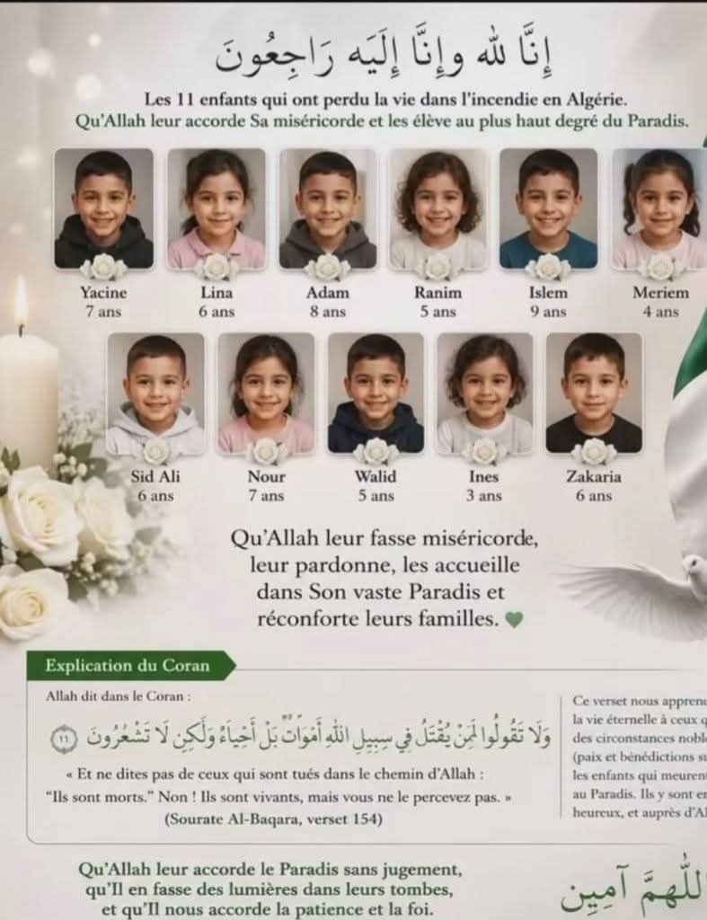 @+ 213 💫power 💪🇩🇿