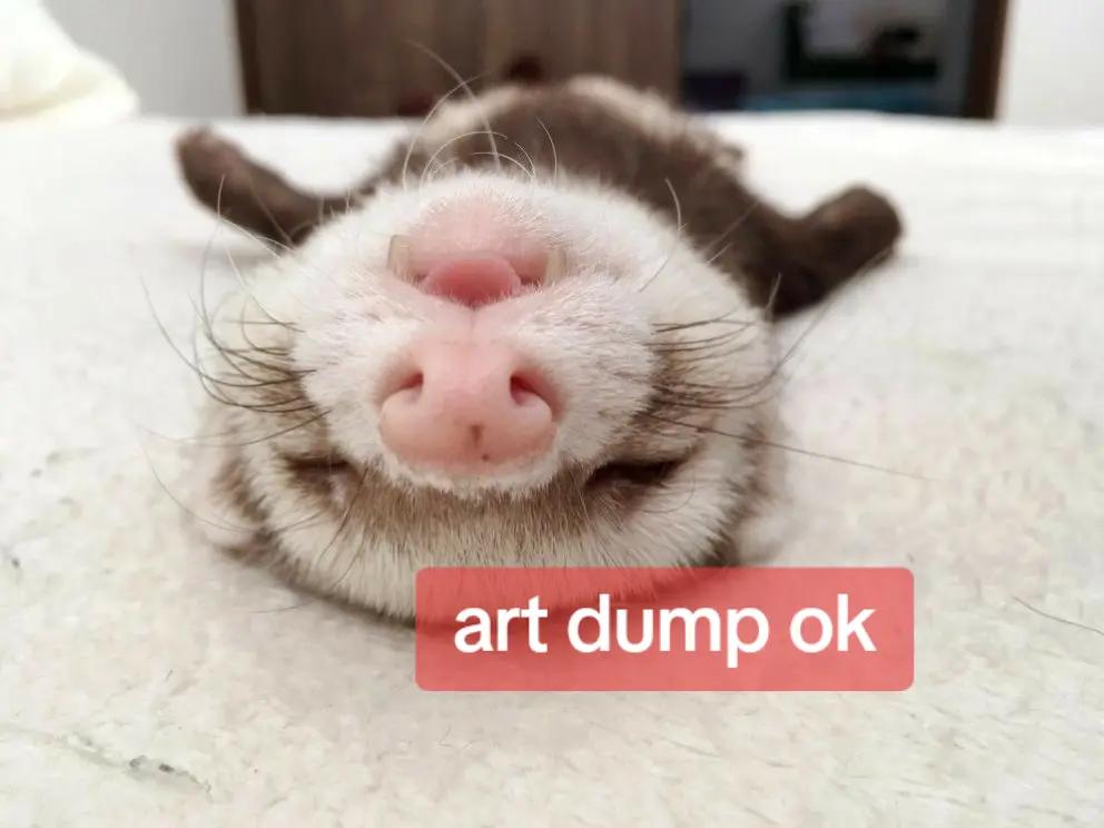 @muni
