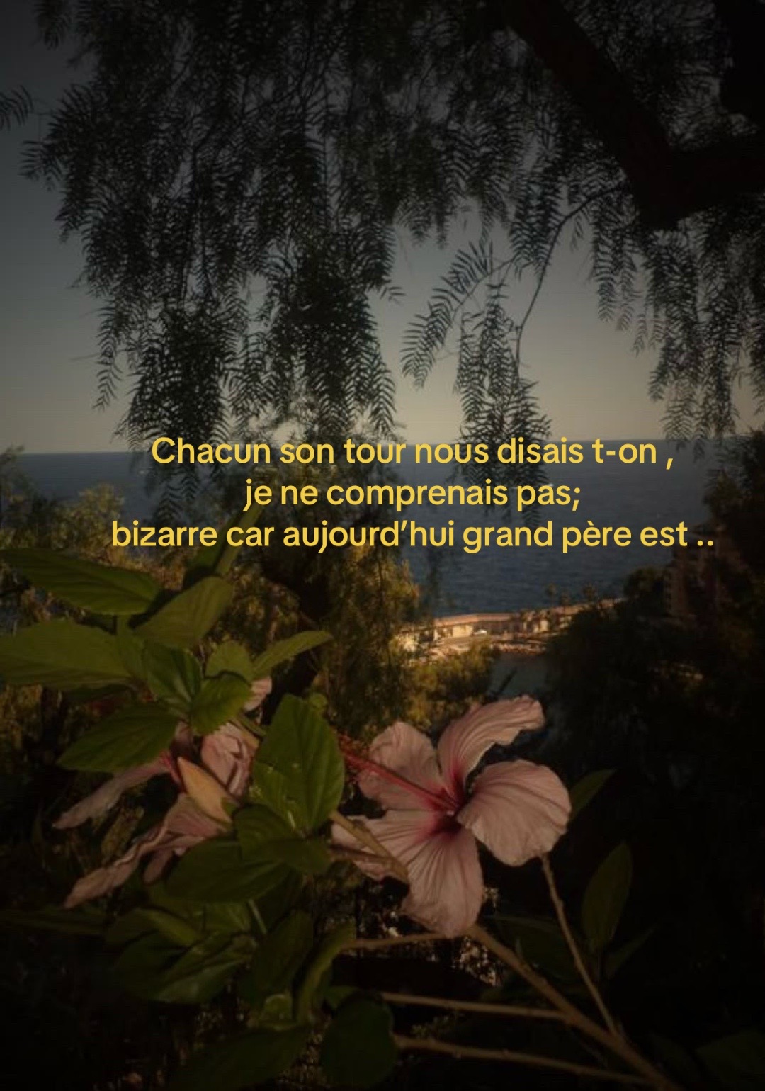 @4.3a.i141