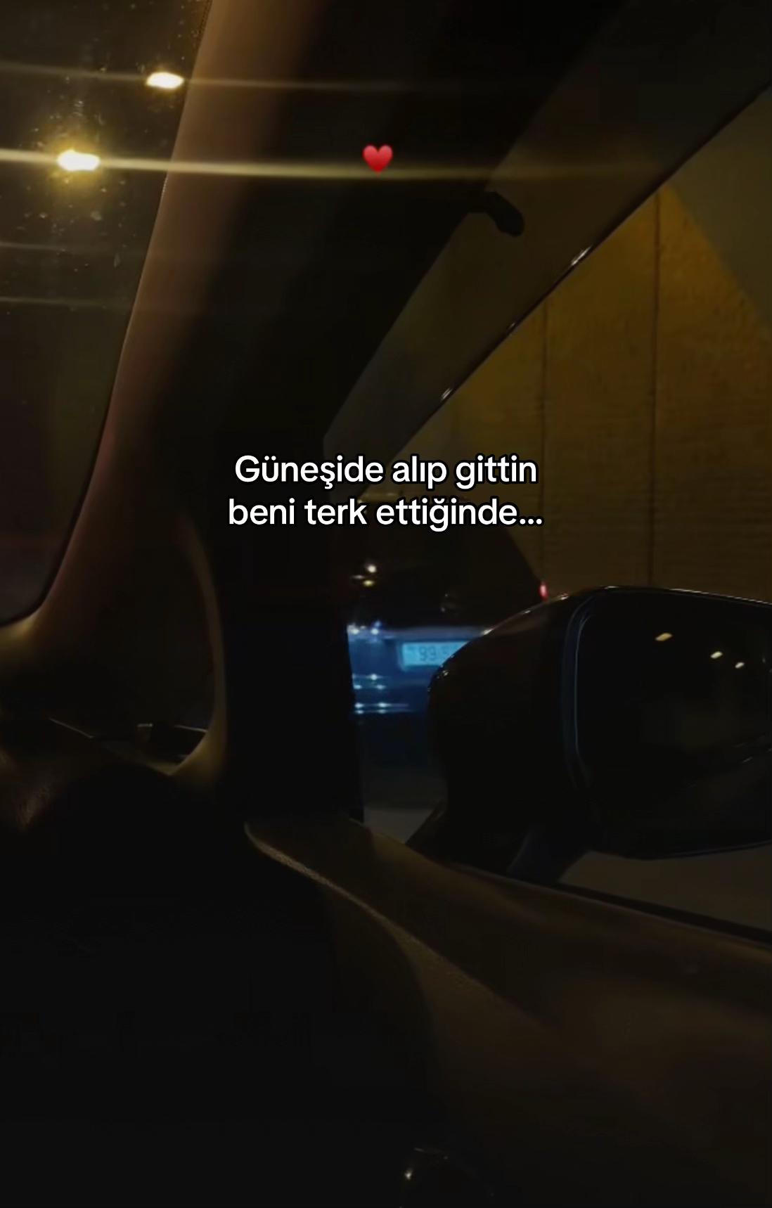 @seviyorgibiydin24
