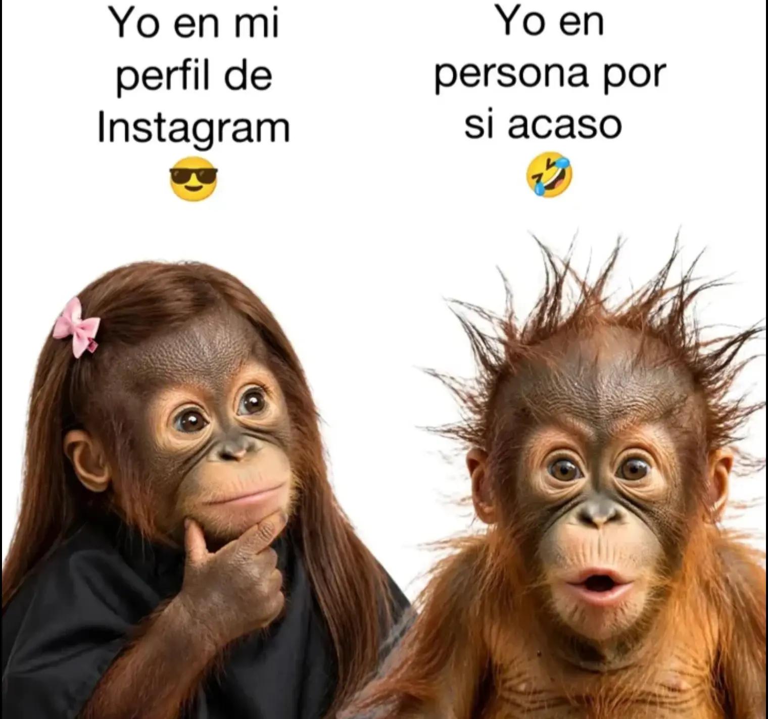 @Brenda marchan