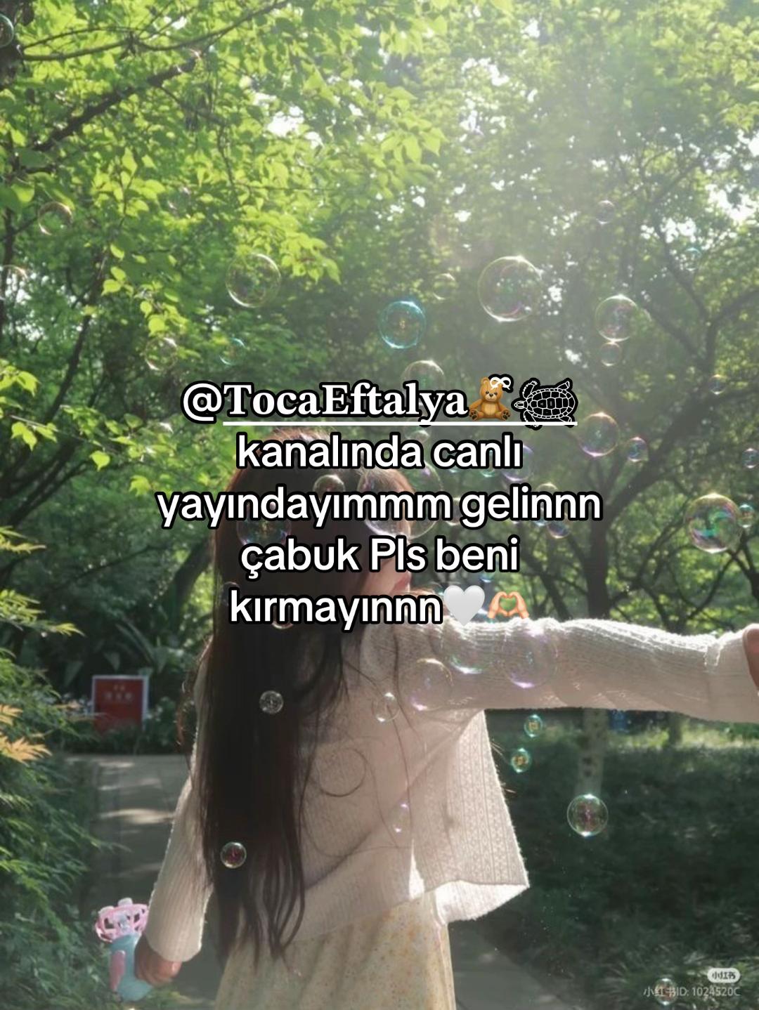 @~ᴄɪʟᴇᴋ ᴋɪᴢ𐙚⋆°🦢。⋆♡