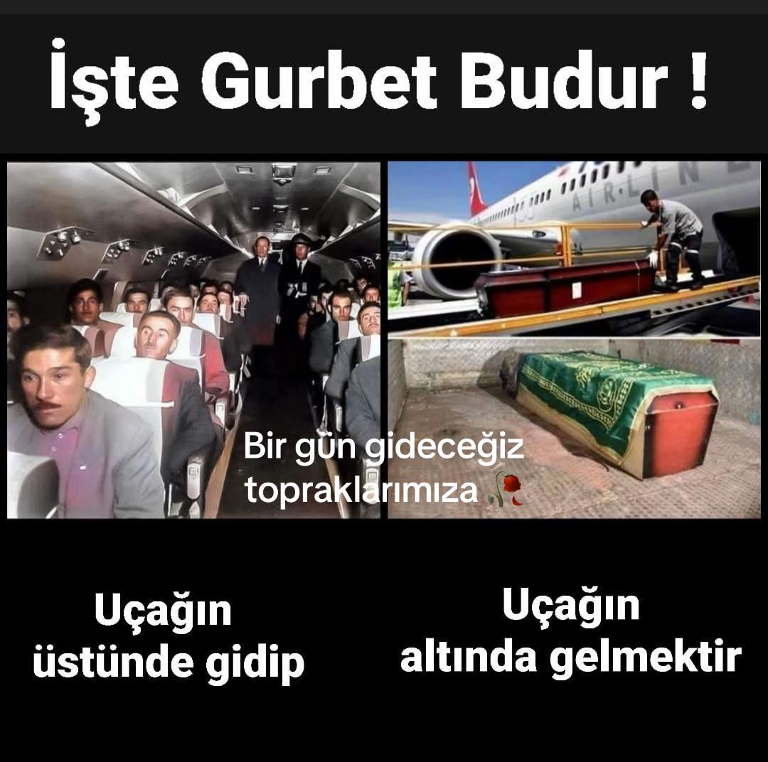 @maşa