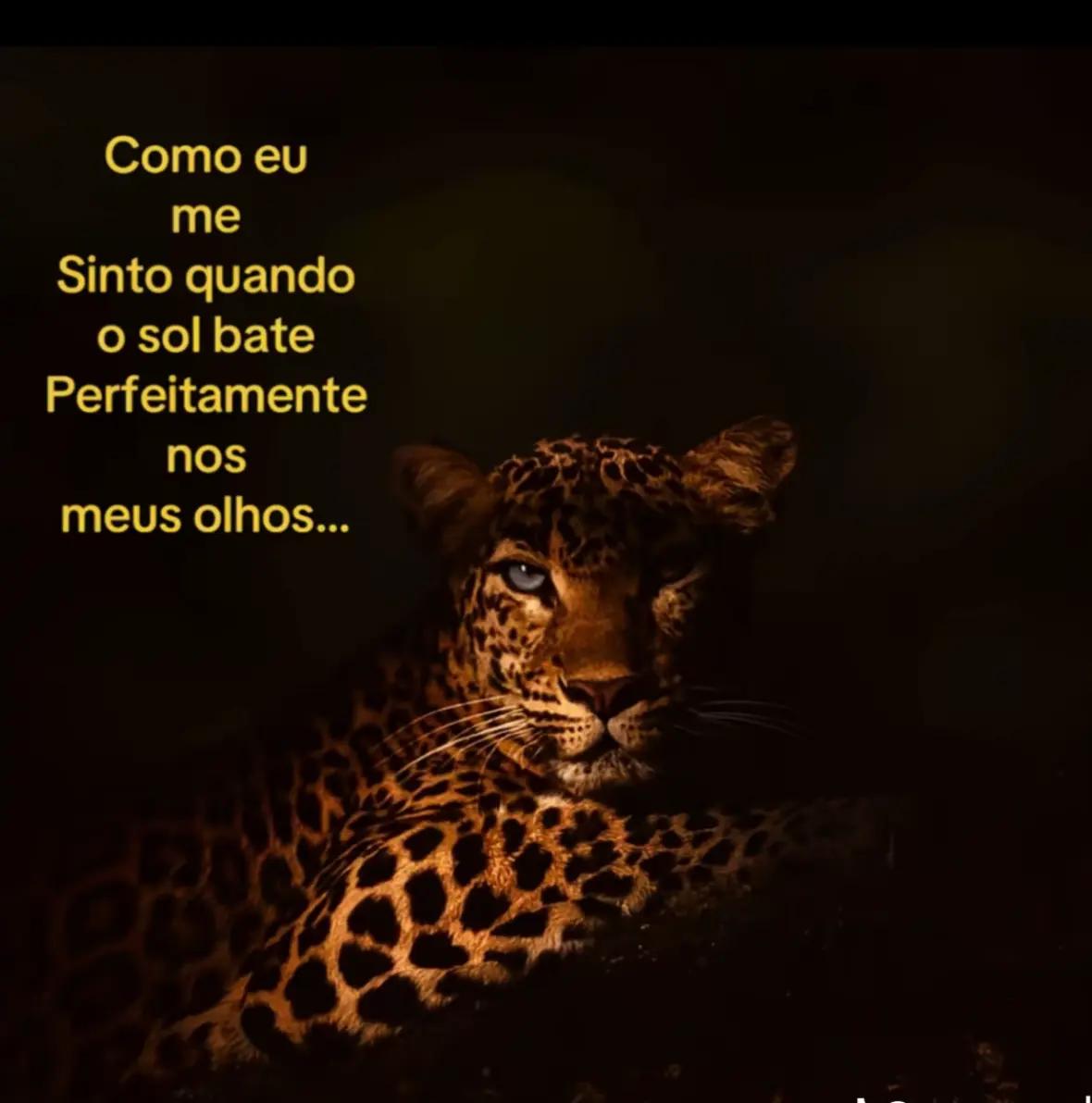 @edurada🧜♀️