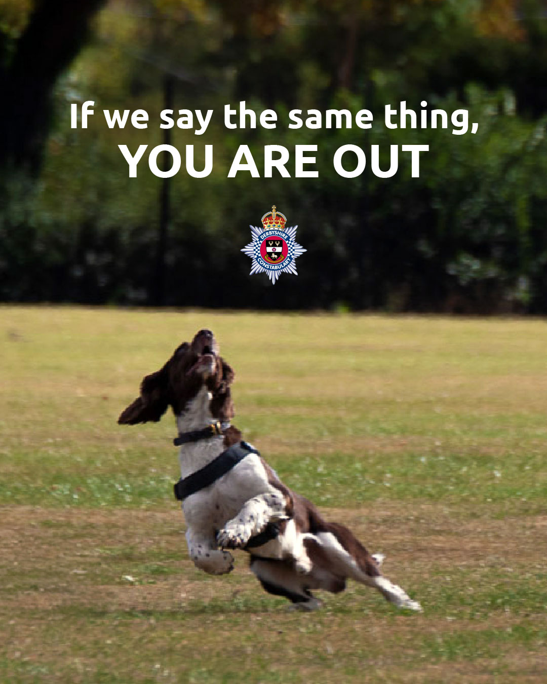 @Derbyshire Police