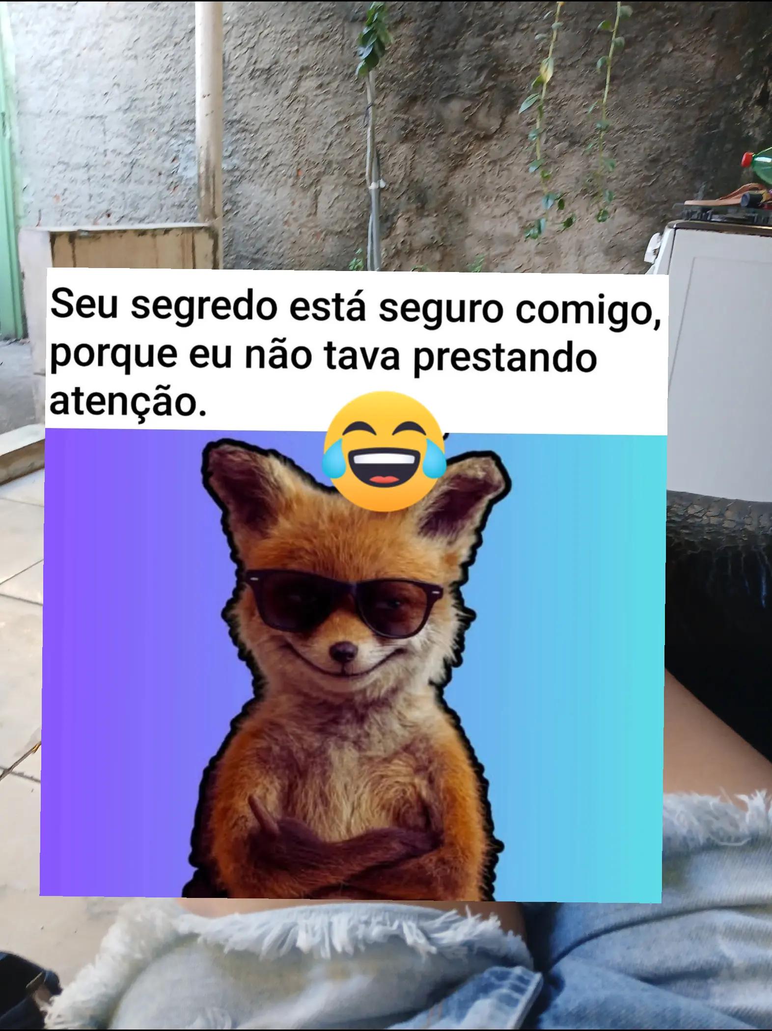 @humor da Célia 🤣