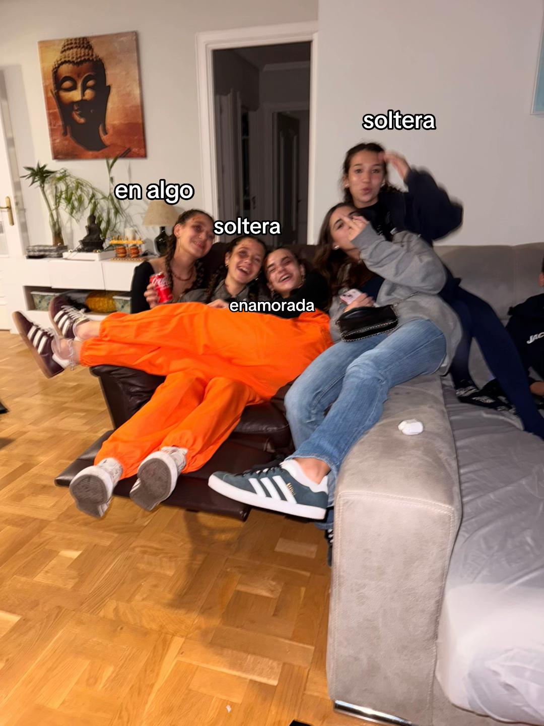 @cerdipous