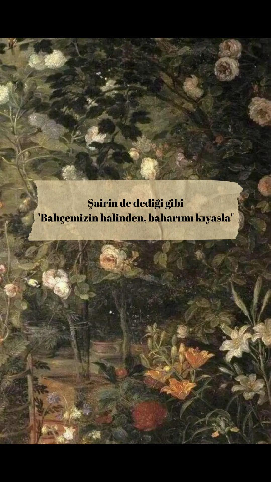 @Tuğba D.