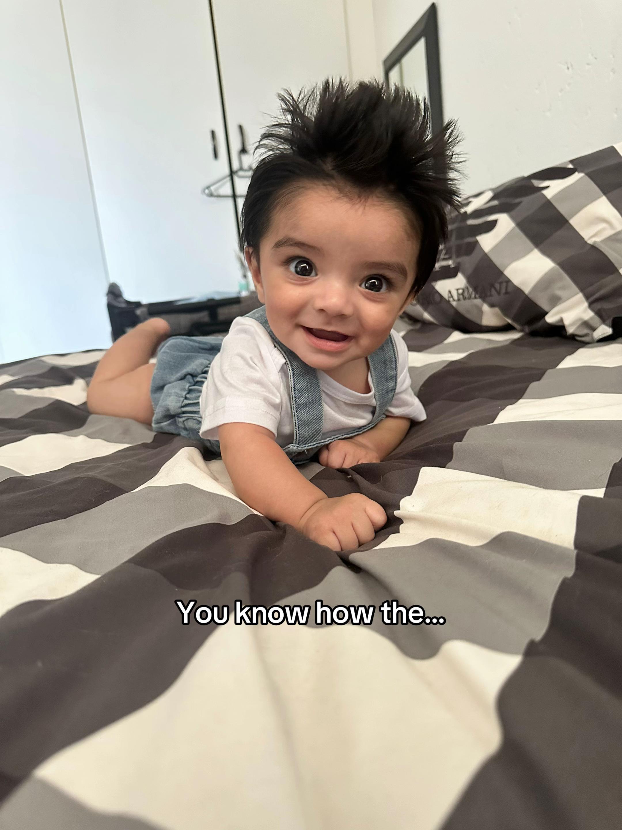 @faridabotes