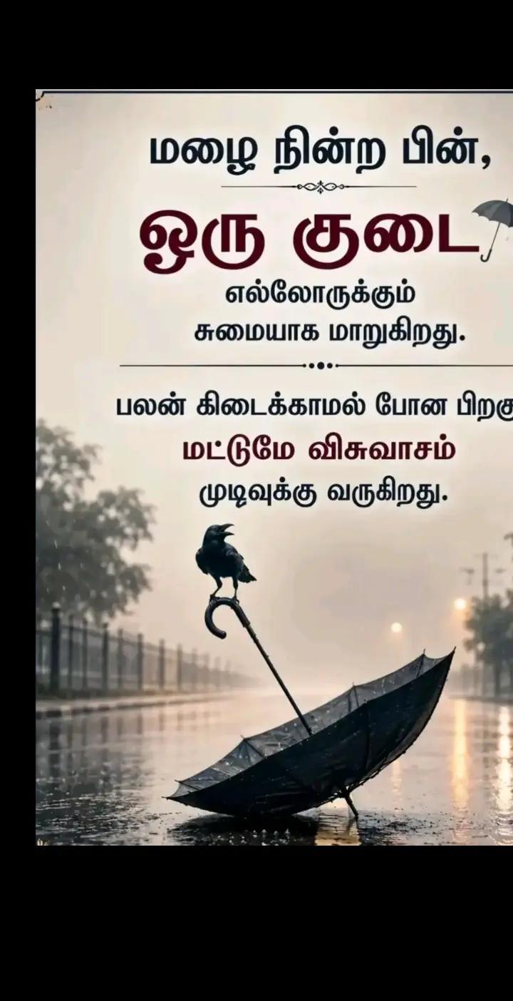 @user35065586394432
