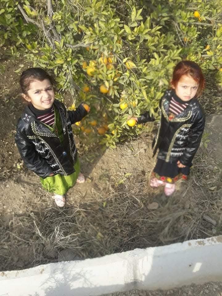 @Nassiullah Majboor