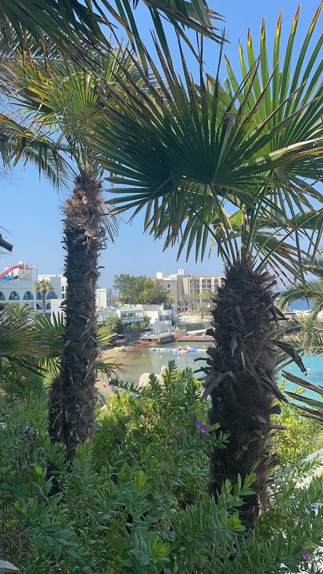 @miraç miran