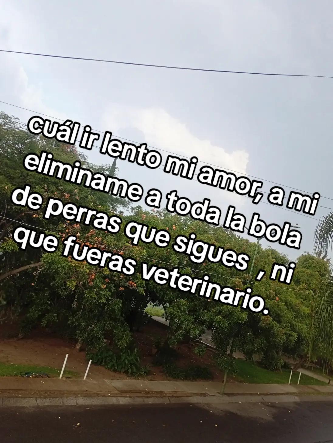 @user4324187328395
