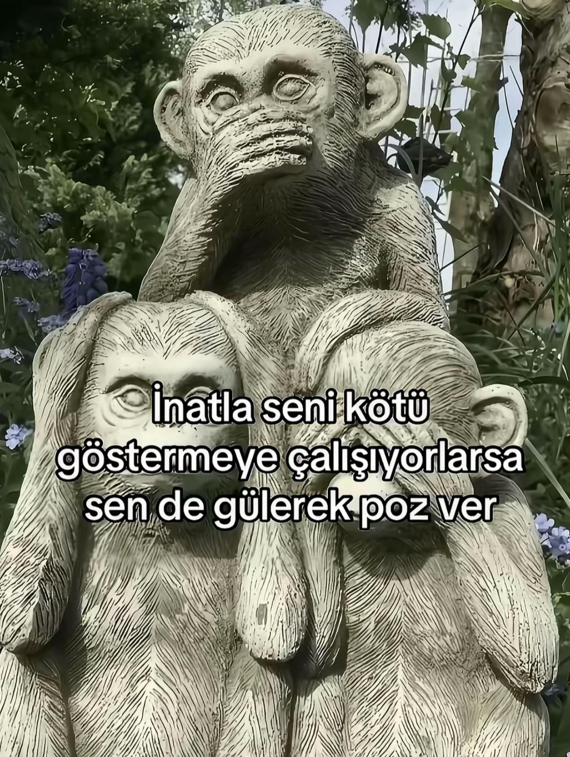 @yeşim orğan🪬