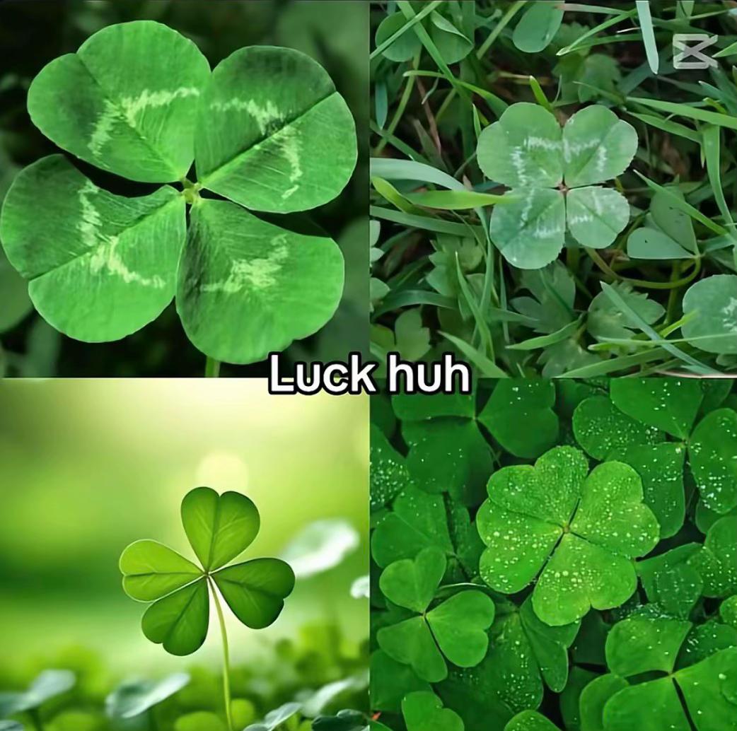 @𝑉̲𝑖̲𝑛̲𝑒̲𝑔̲𝑎̲𝑟̲𝑠̲ᔑᥲꙆt🧂