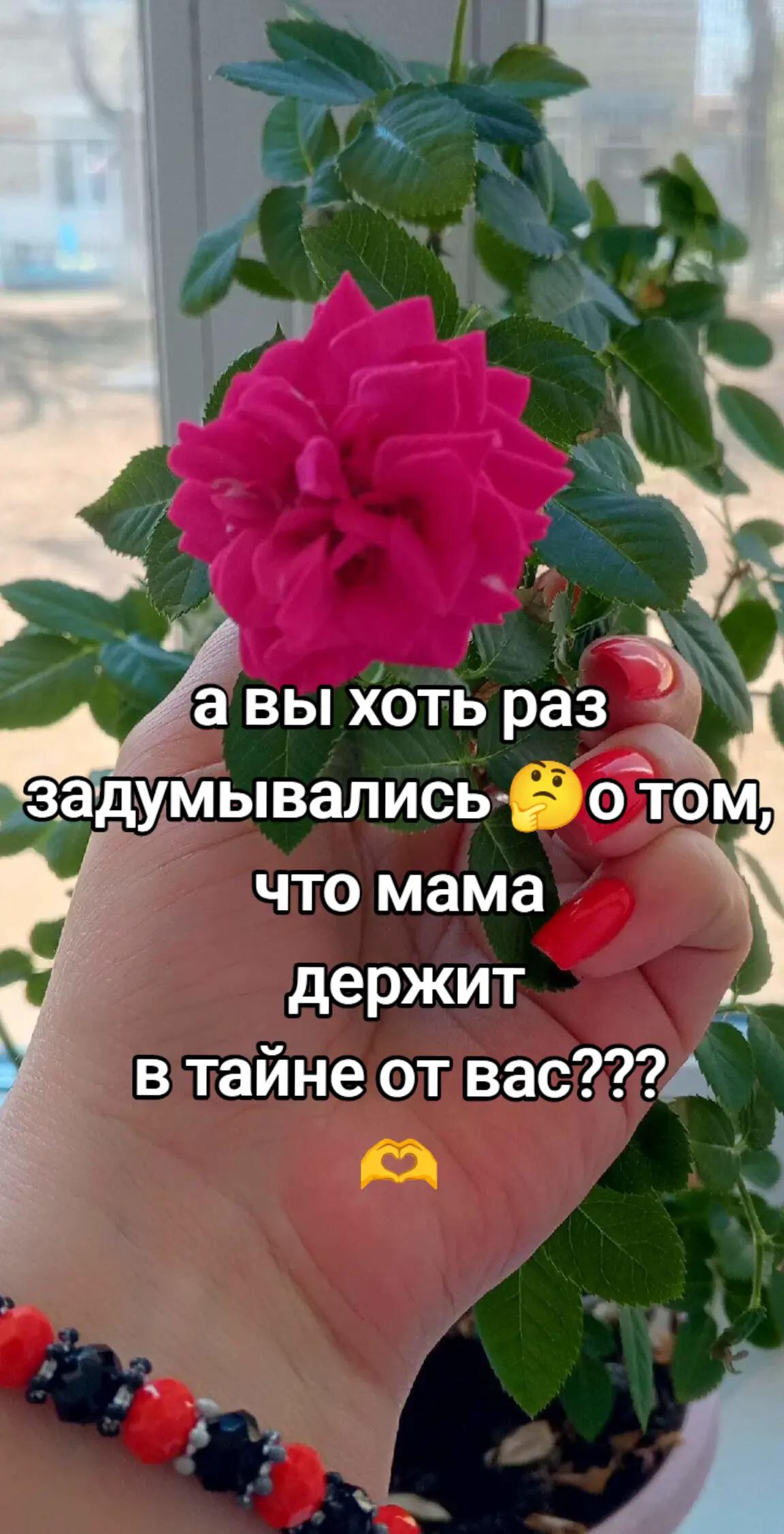 @Екатерина 😊