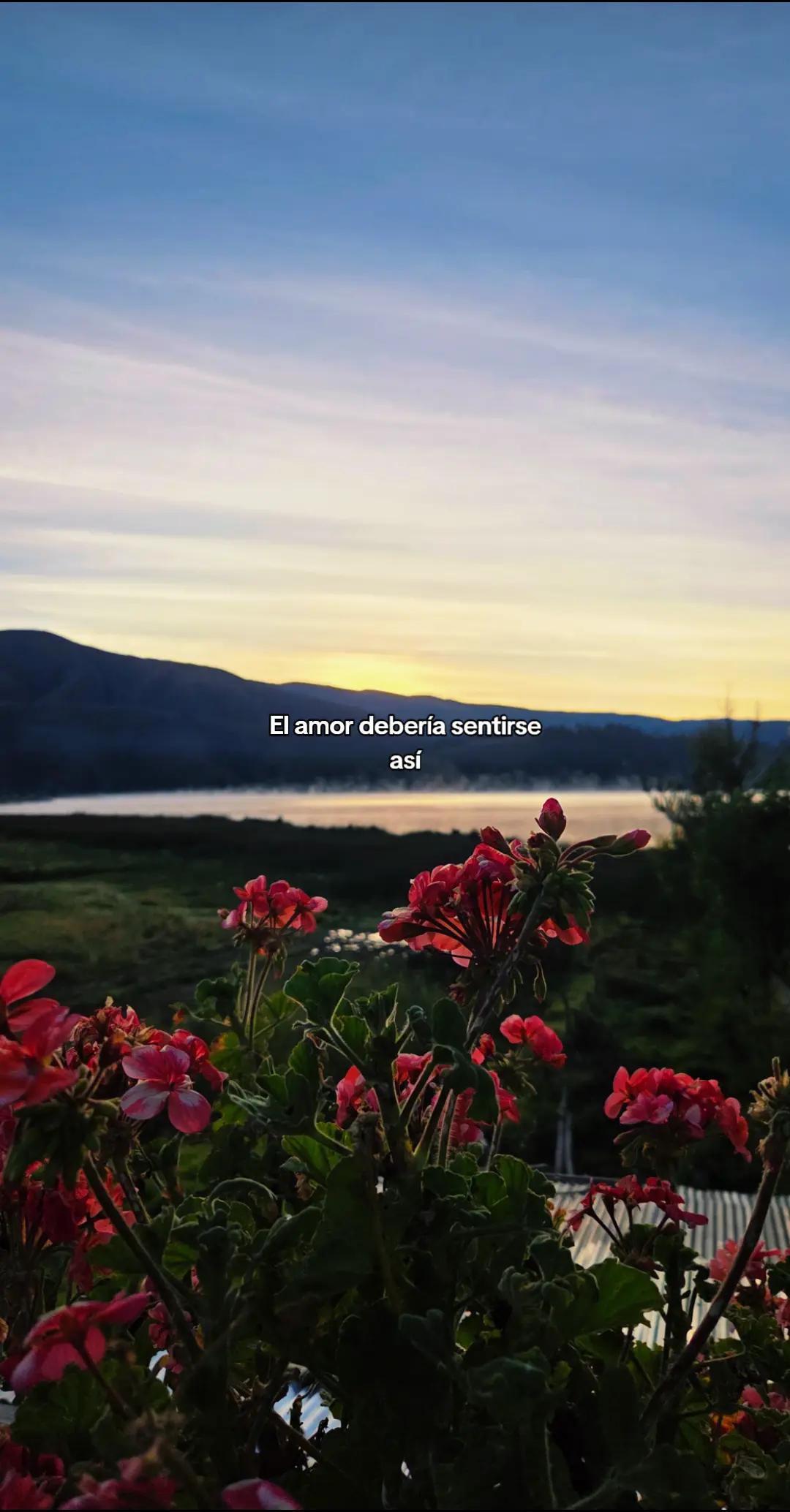 @GianSanchezF