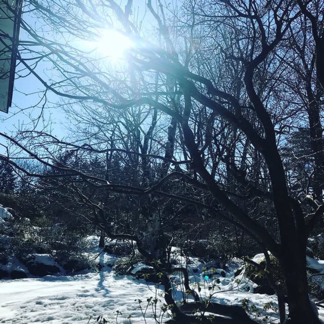 @いとう りか