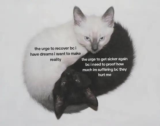 @🪫