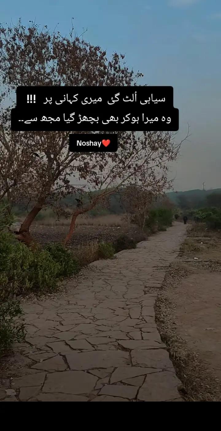 @Noshay❤