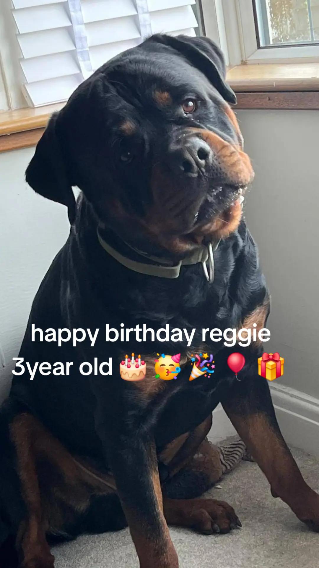 @Reggie the Rott
