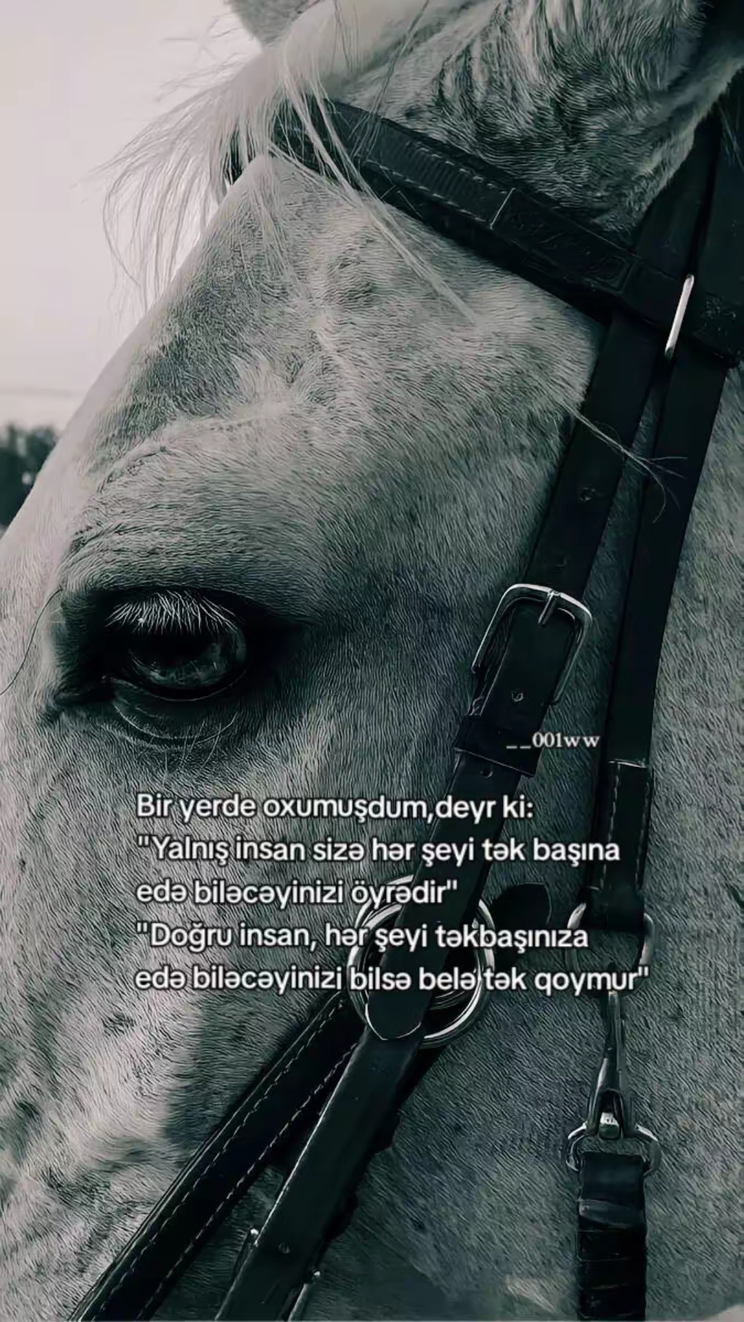 @😔꧁☞︎︎︎ YaLnız CənaB ☜︎︎︎꧂😔
