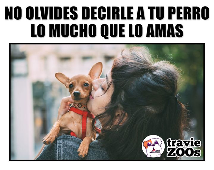 @Pancho Cavero