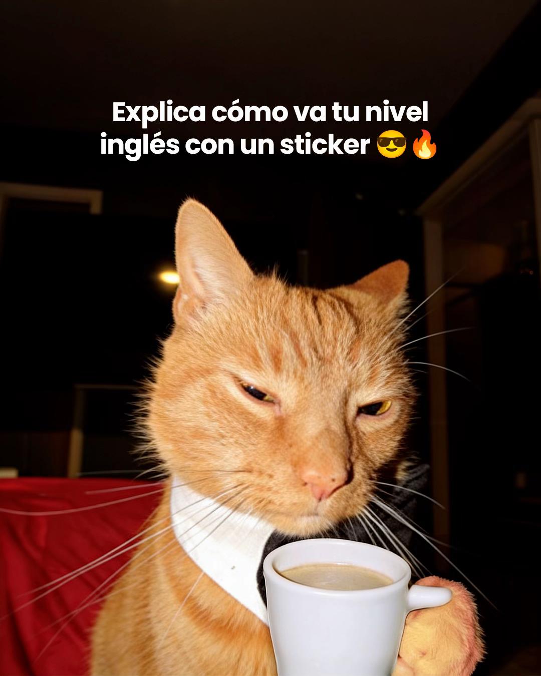 @Británico