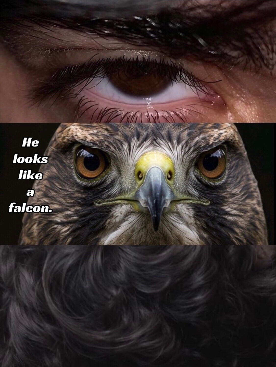 @⋆𐙚⋆