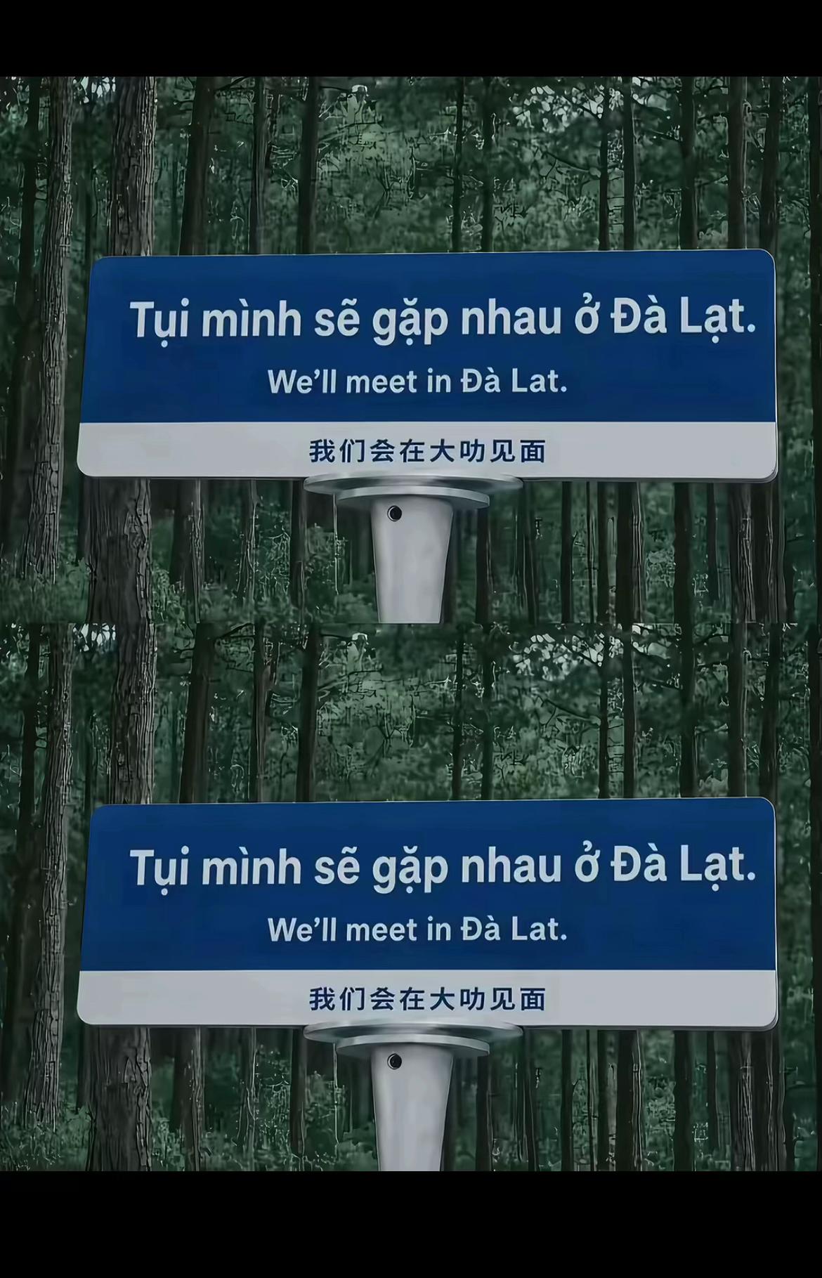 @Duy Phượng