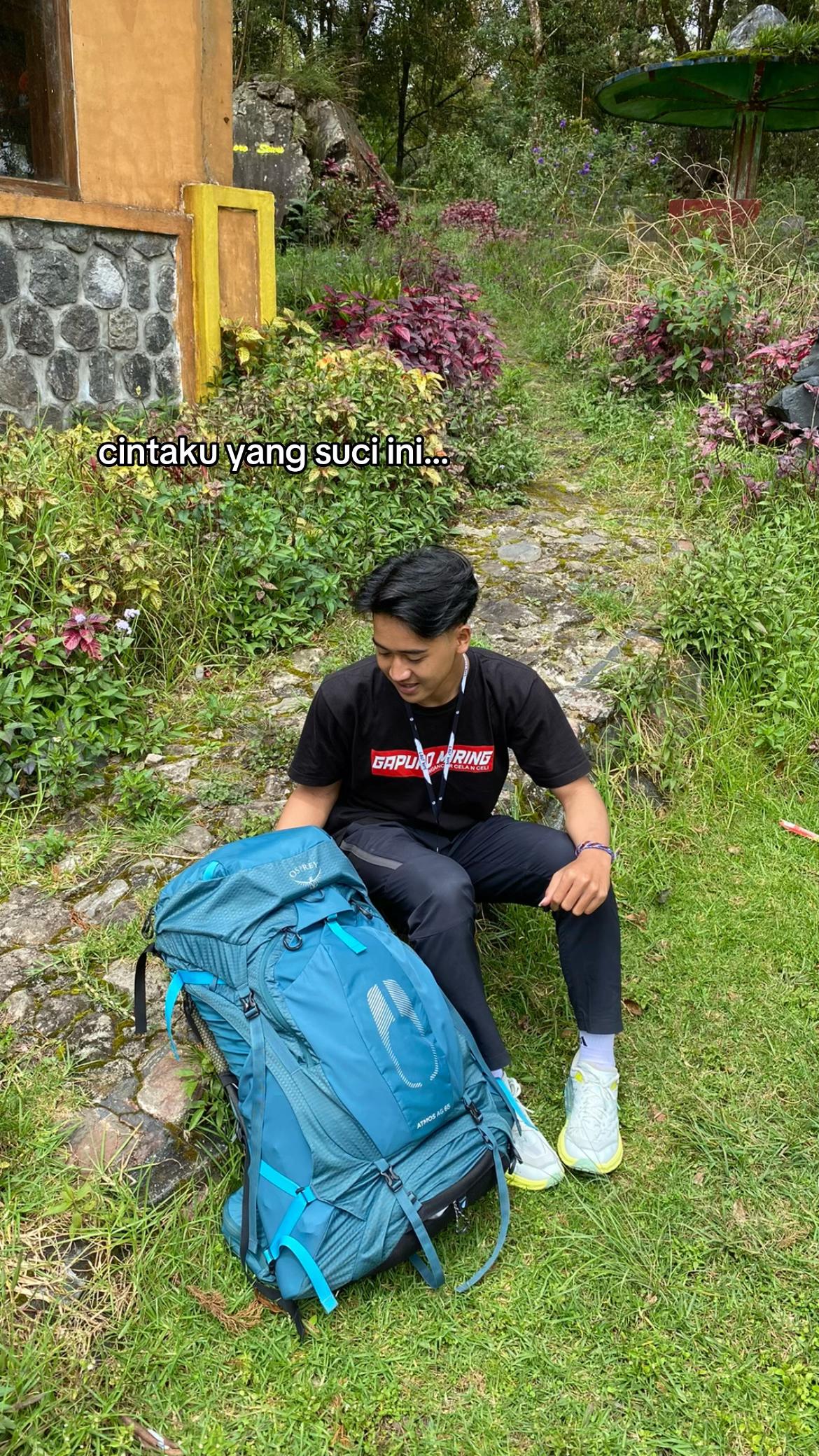 @ipannnn