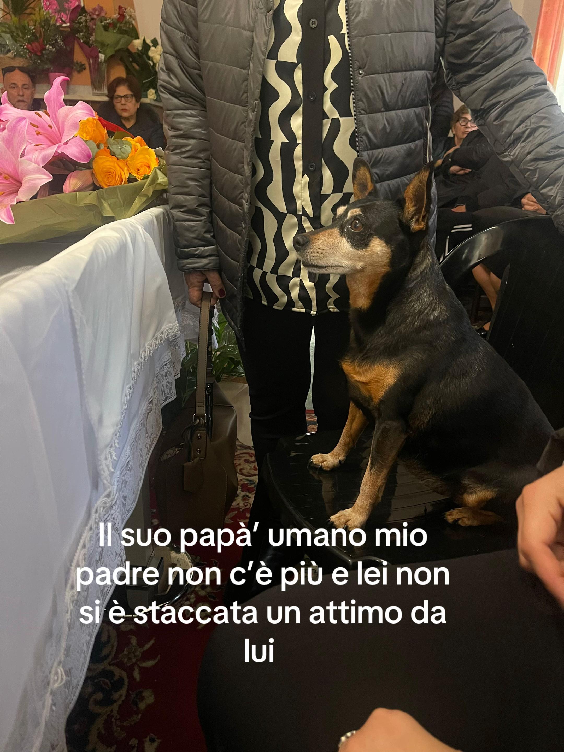 @animarandagia76