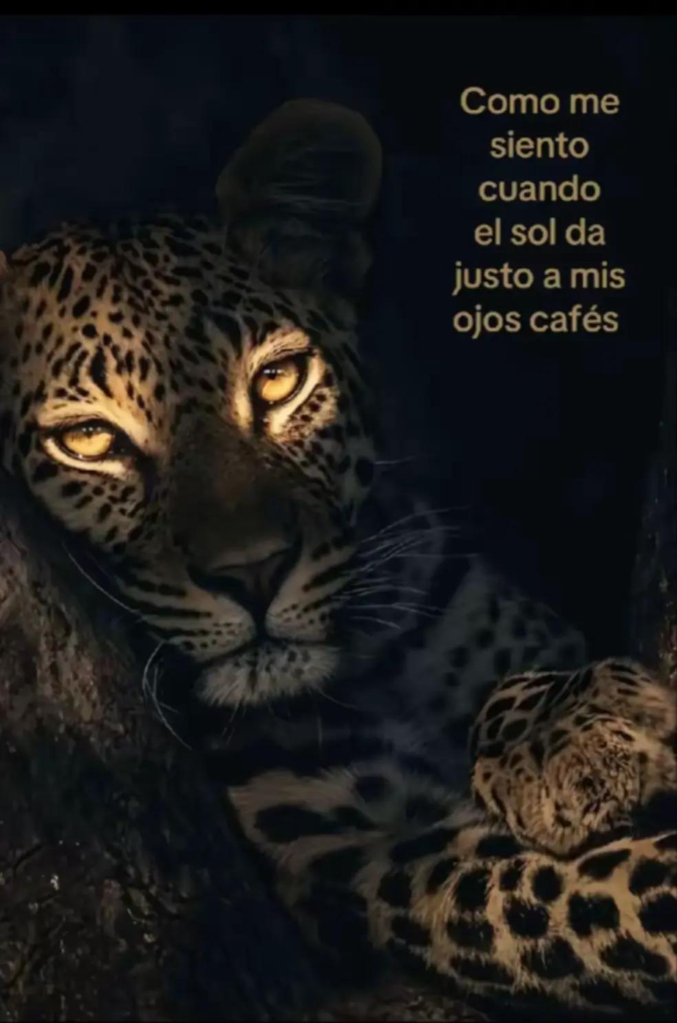 @💝ASHLEY 💝
