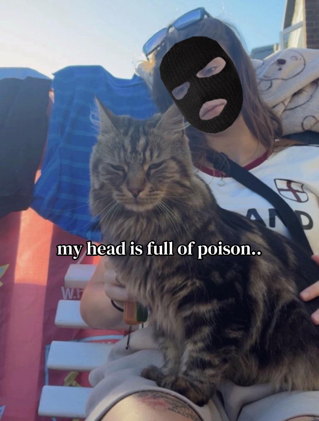 @️Chlo