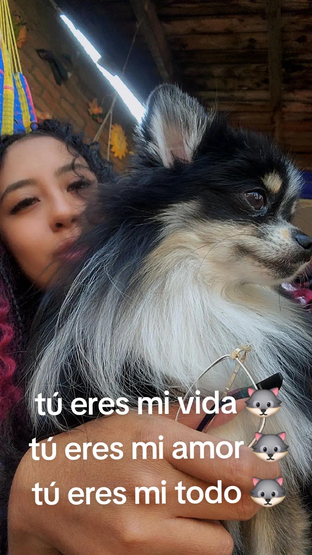 @hey Jude !!!