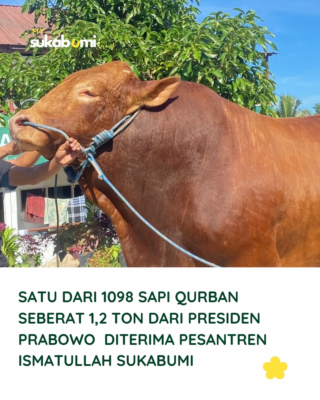 @Mysukabumi