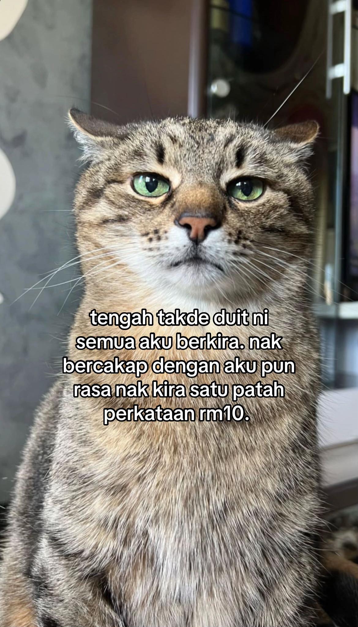 @ngeong prot prot