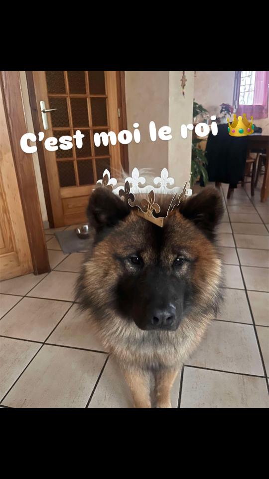 @Les aventures d’Urkan