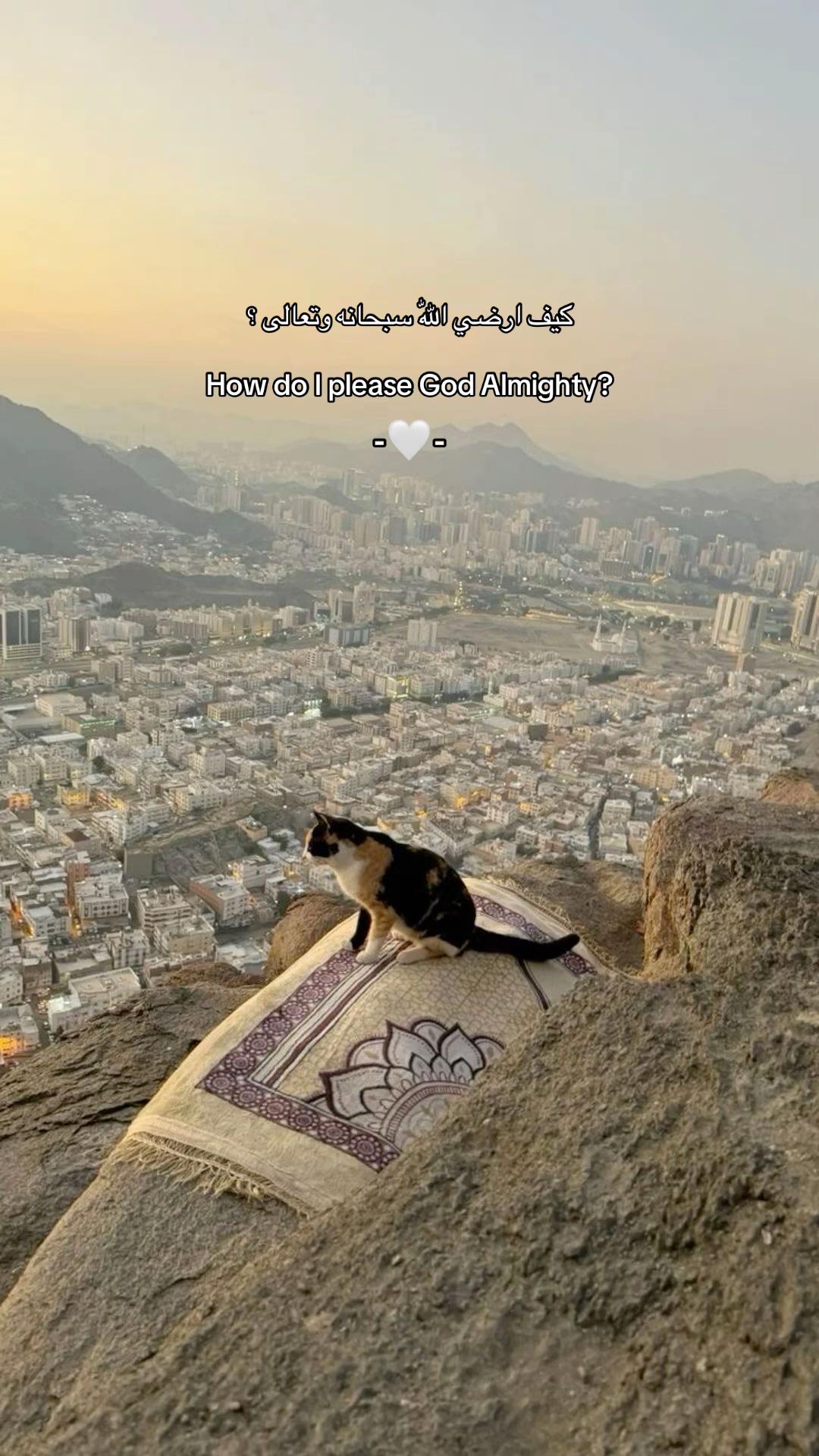 @ســيــلان|١٤٤٦🤍