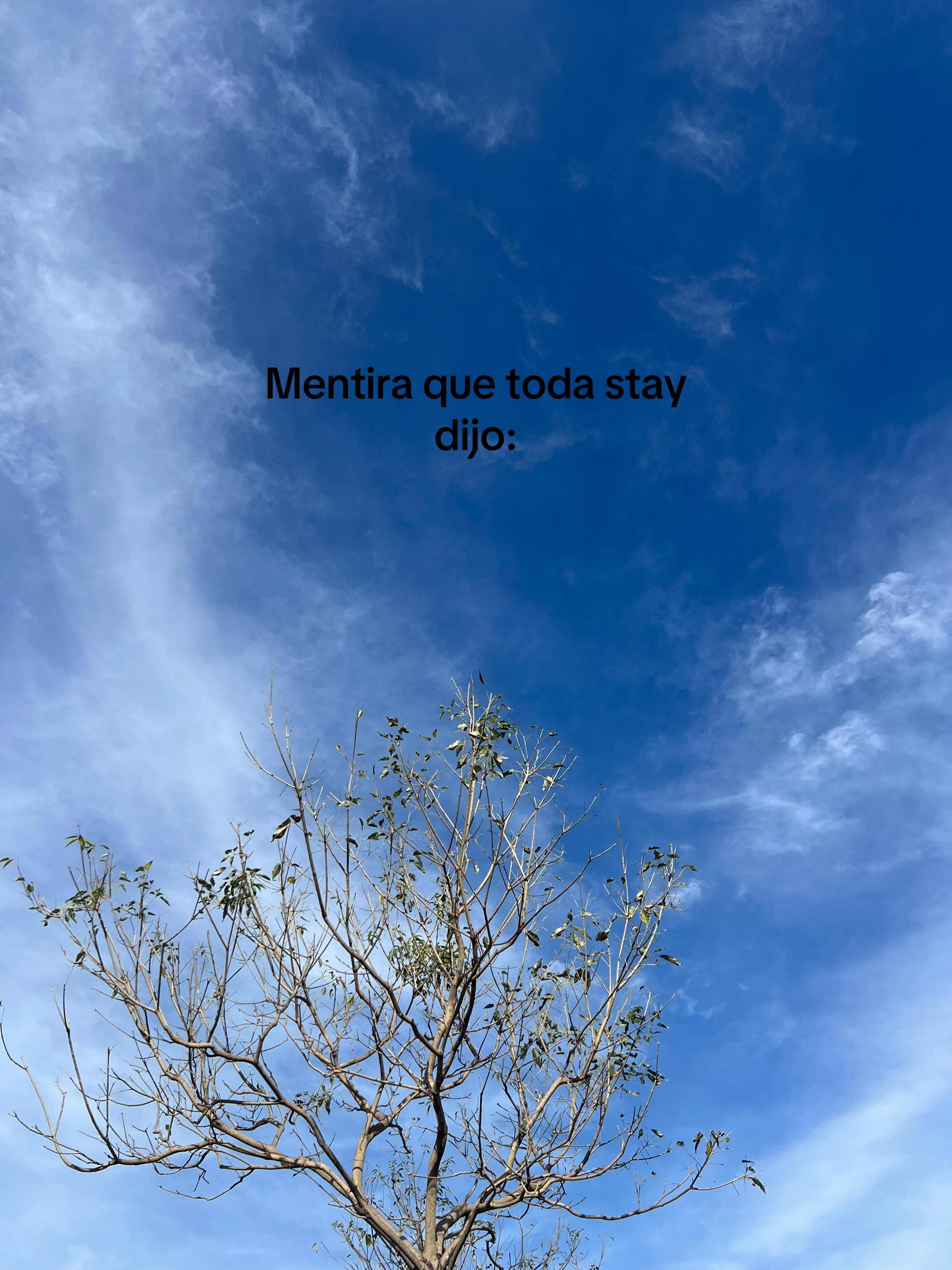 @⌗ !! ꒰ 𝓗an 𝒥isung  ꒱ 🐿️