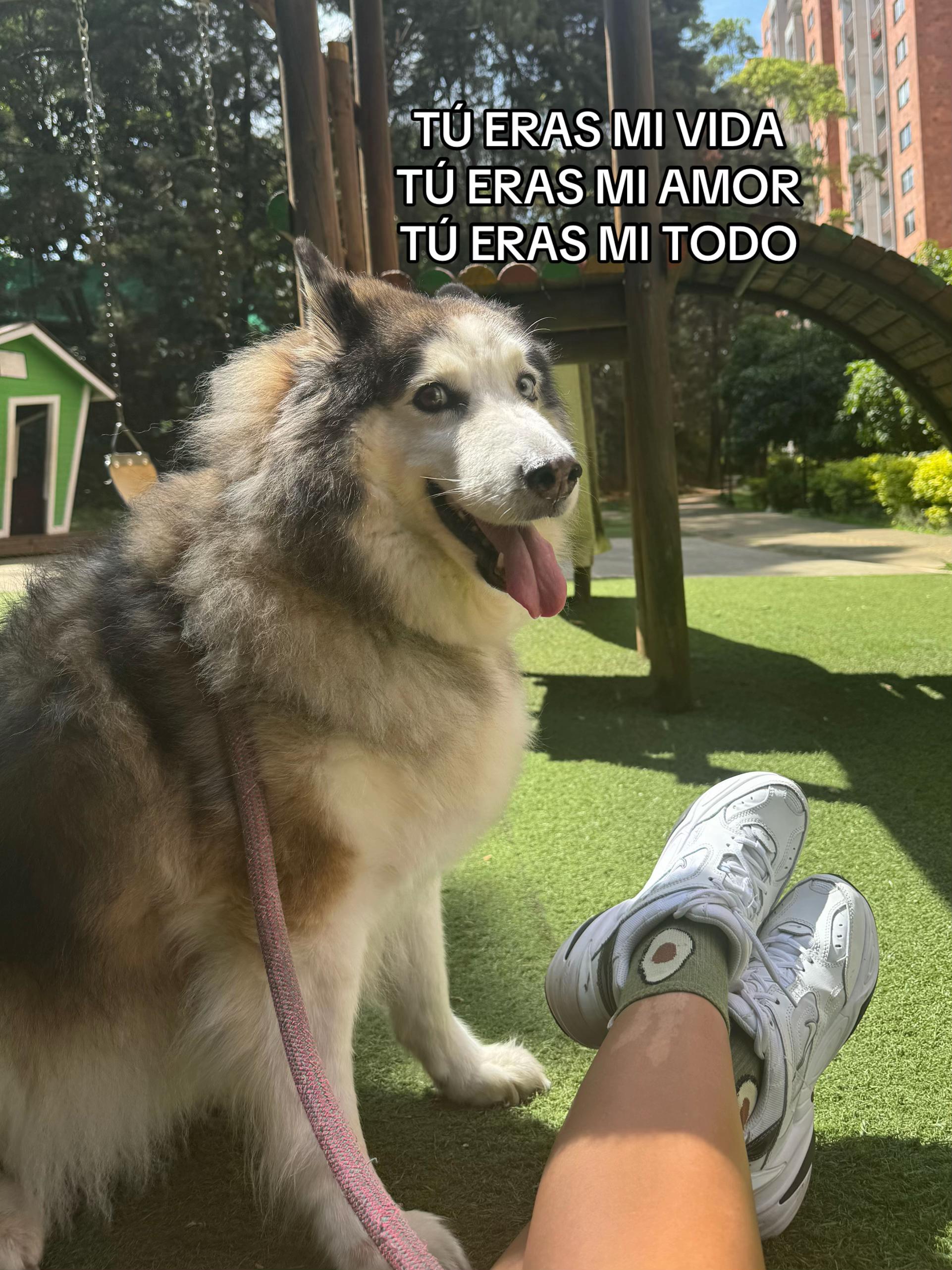@Janireyoficial