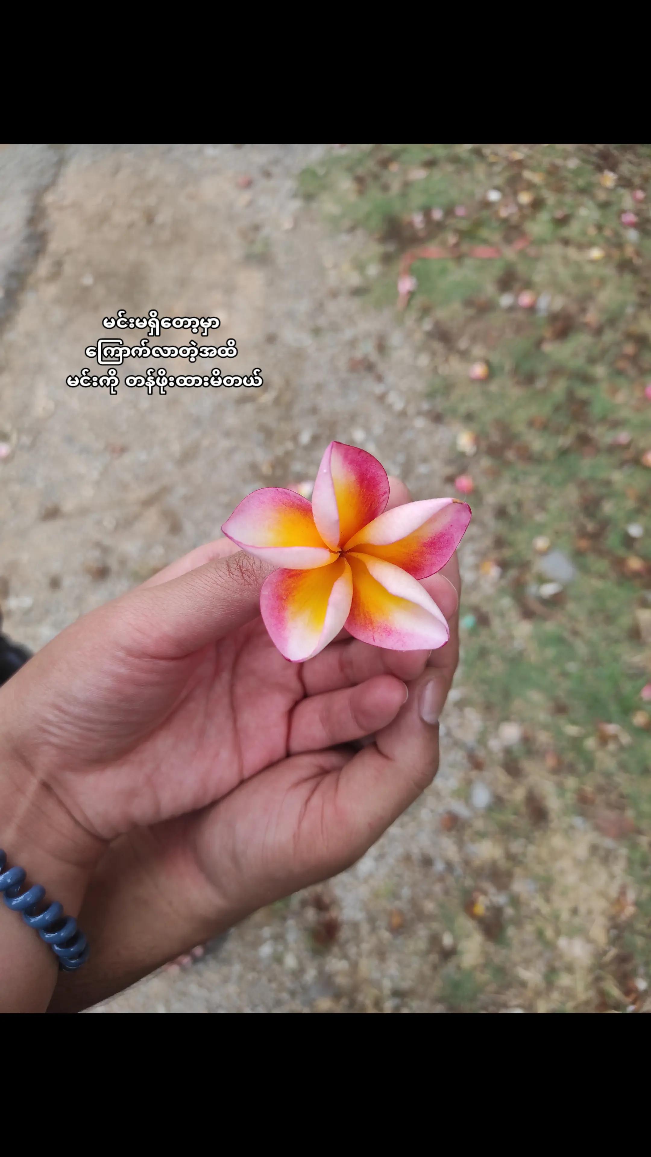 @Thandar Aung đ޸