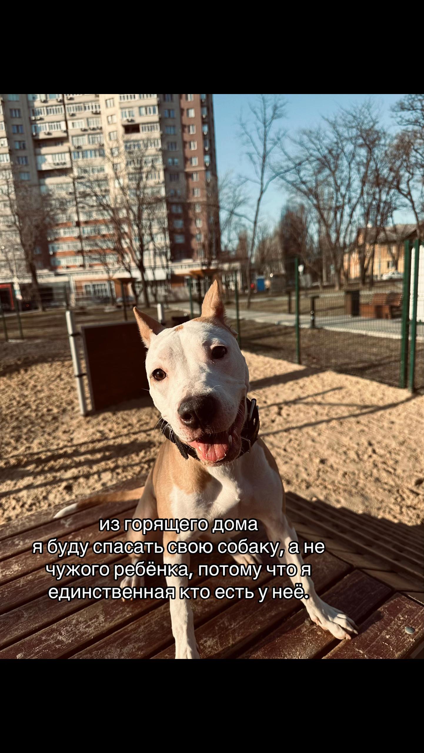@🦋ТГК:PitoStaff_Milfa🦋