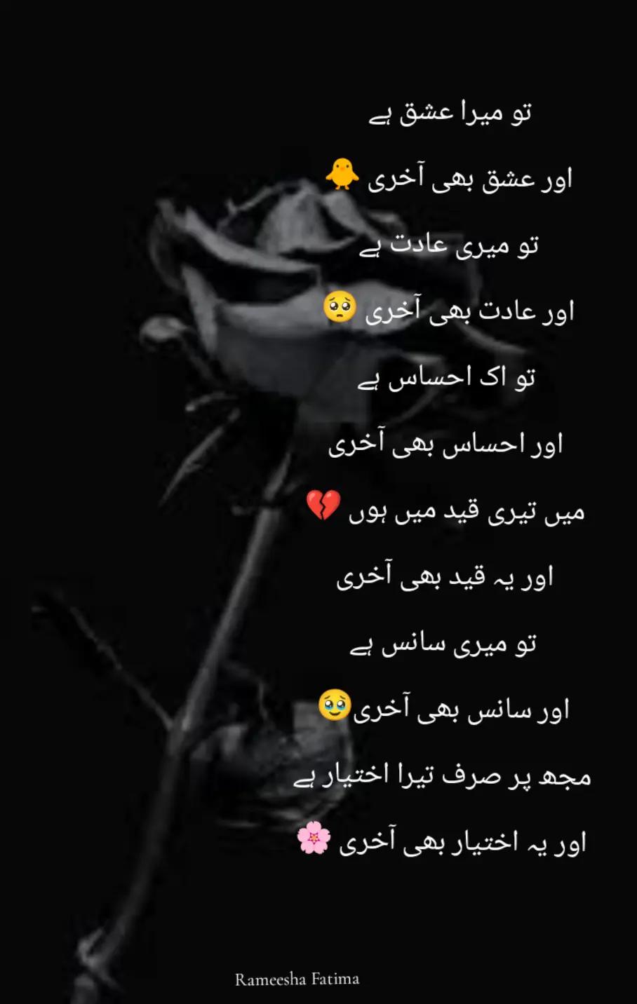 @Rameesha Fatima