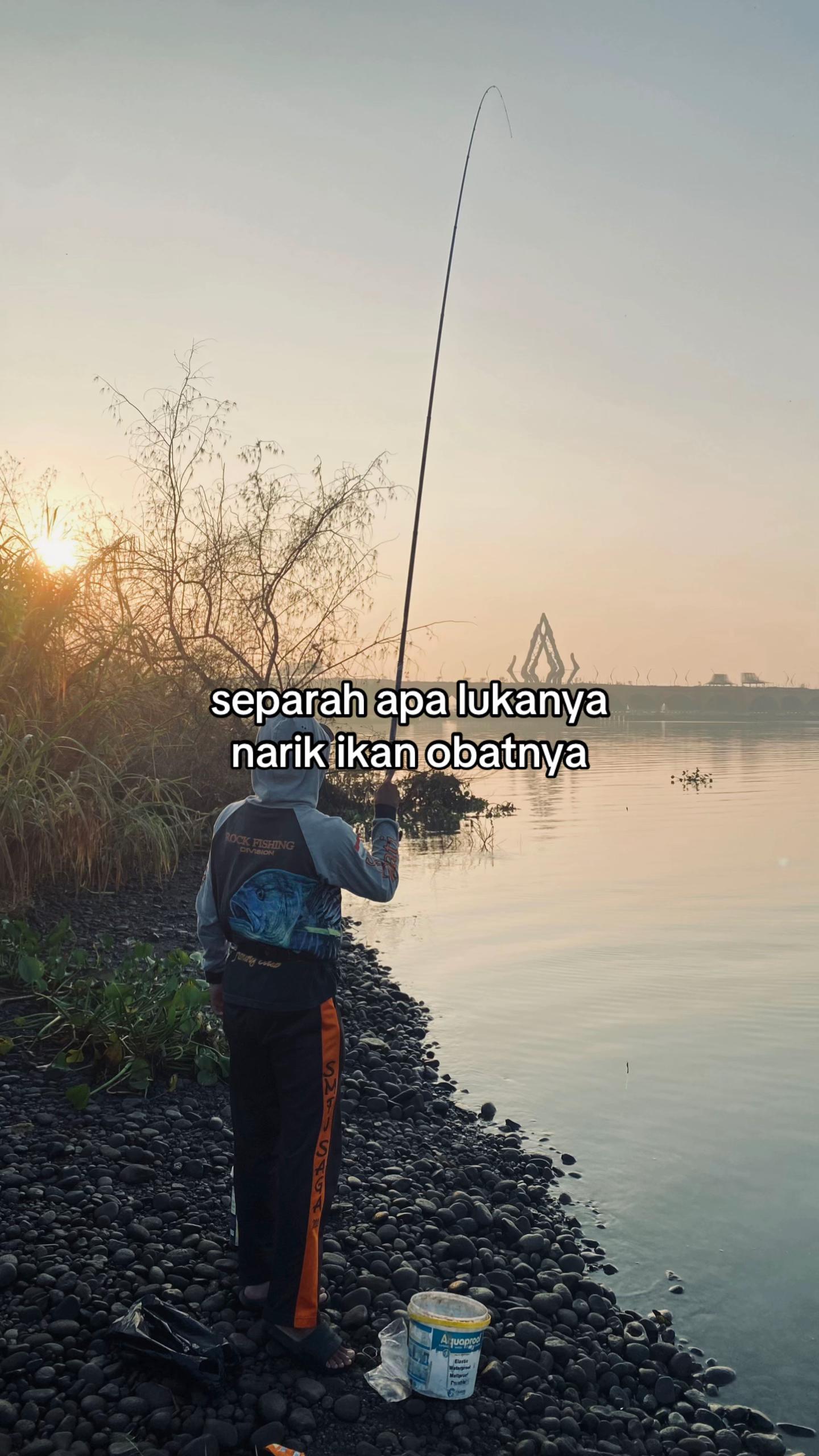 @alip
