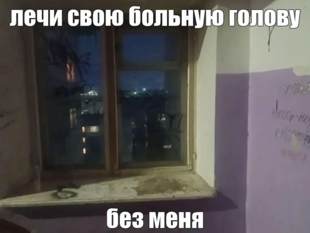 @кошка.