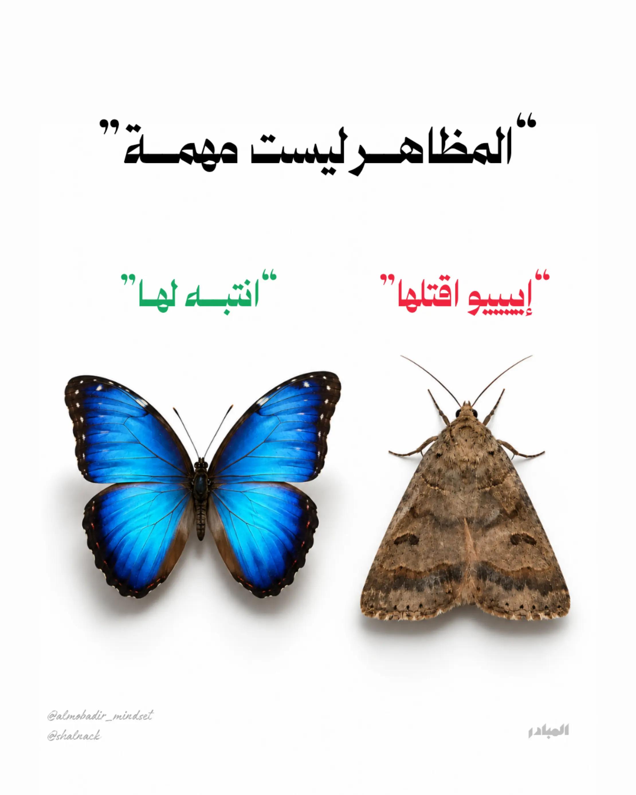 @shalnack