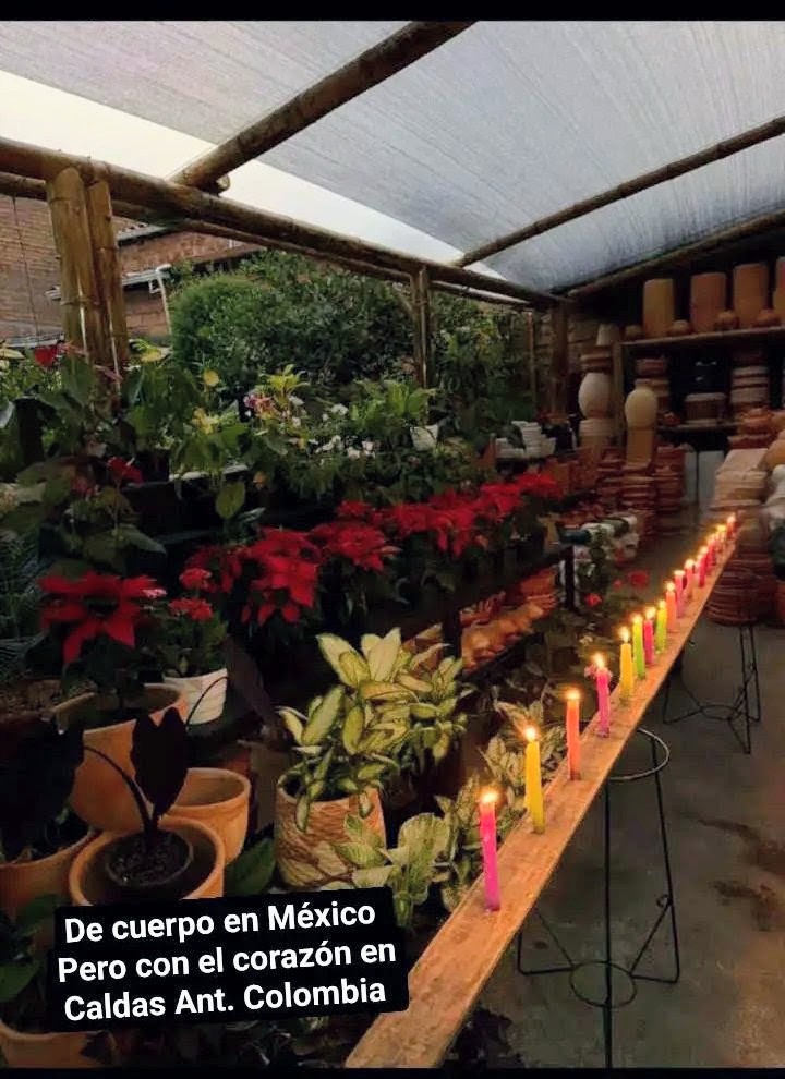 @Osmel Hern&aacute;ndez