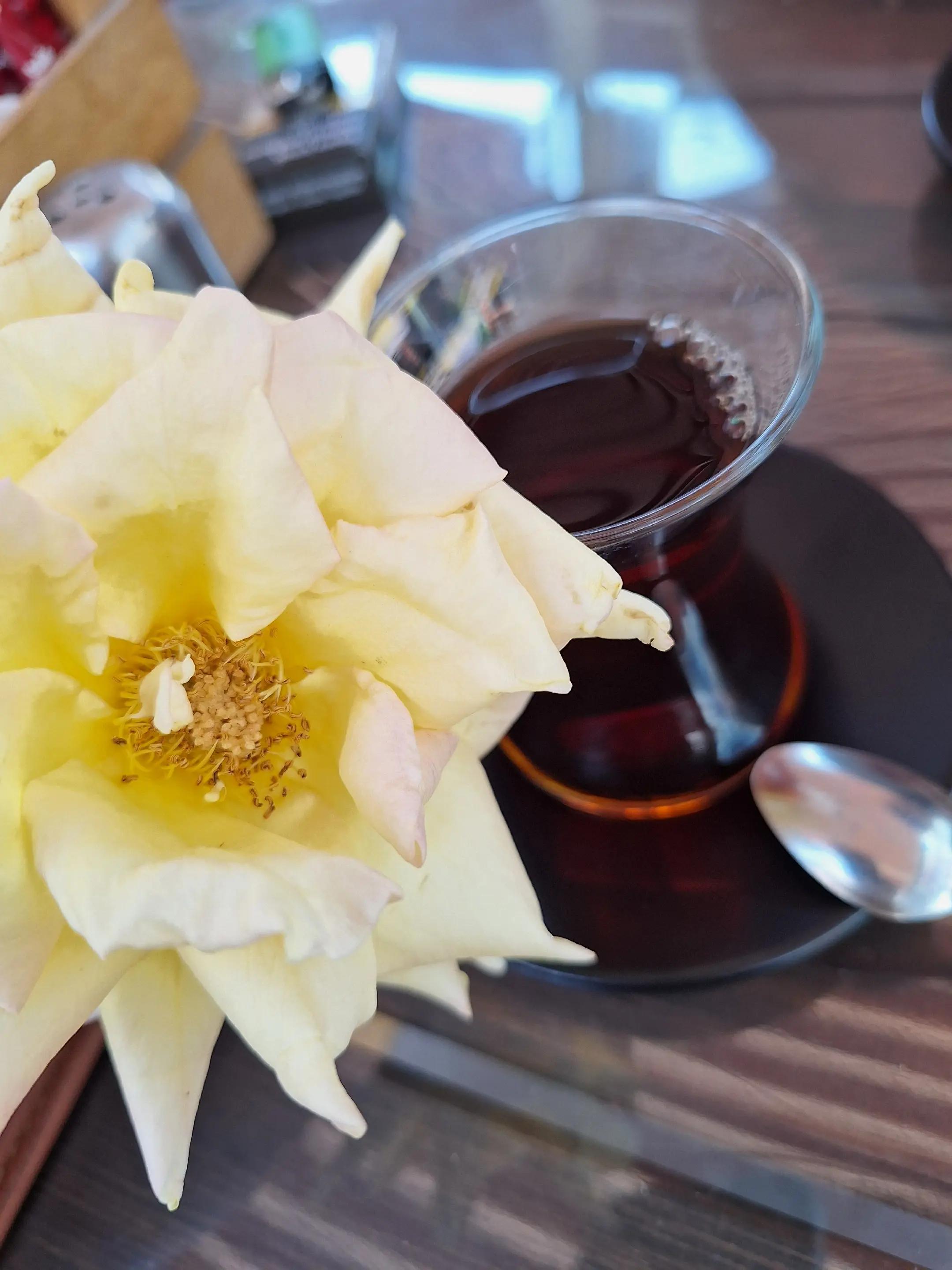 @Gönül yaram 42
